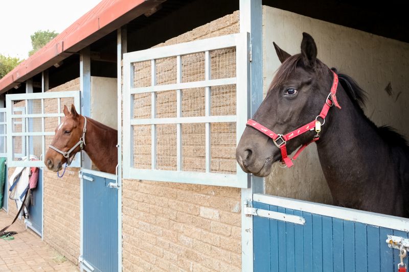 Horse Stall Repair in Overland Park, KS