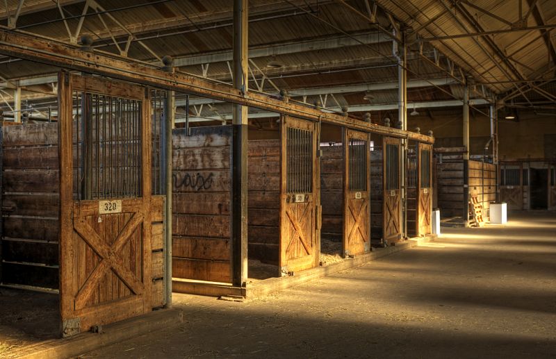 Horse Barn Construction in Conroe, TX