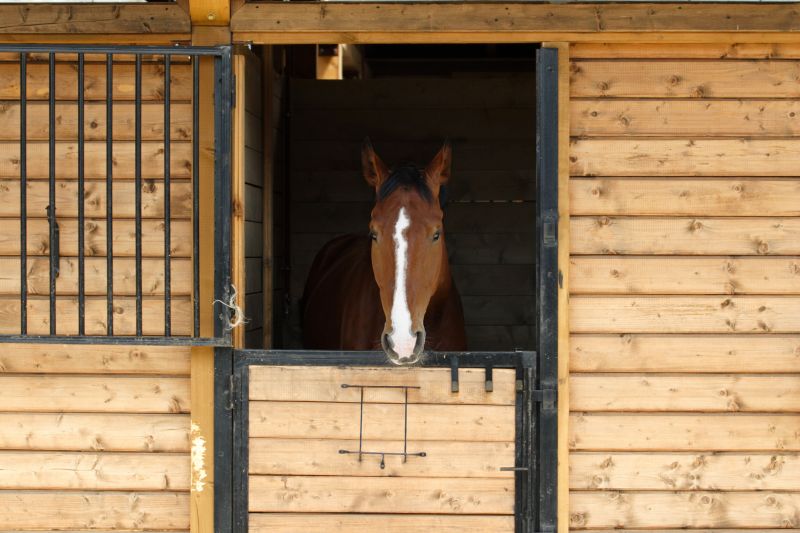 Horse Shelter Construction in Conroe, TX