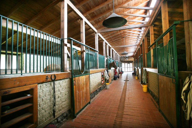 Horse Shelter Construction in Wilmington, NC